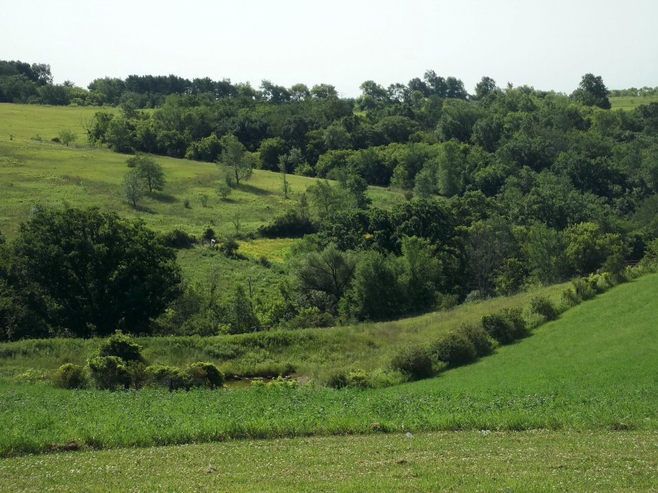 vernonvineyards-view